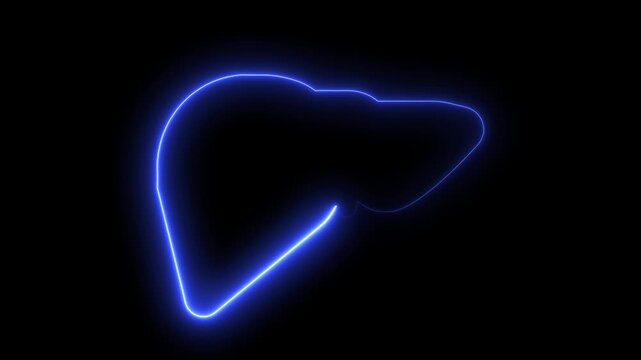  Glowing neon line human organ liver icon. organ icon Neon human organ icon, animation on black background Cartoon liver, Glowing neon human liver icon concept on black background.