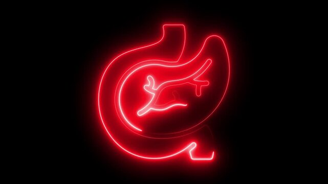 Neon line Pancreas digestive inner organ symbol. Simple reveal and disappear animation. Healthcare body part collection. Human pancreas illustration