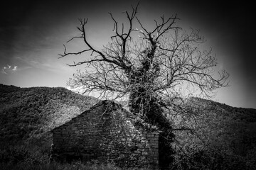 Tra Piemonte e Liguria - Panorami di viaggio (Appennino Ligure)