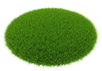 Lush green circular grass patch on a bright background ideal for landscaping visuals isolated on white background
