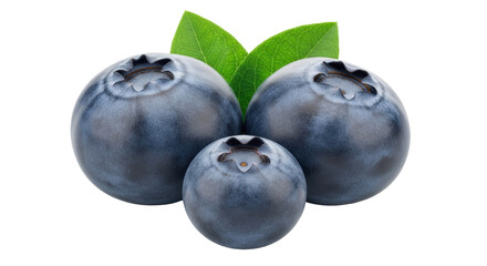Isolated Blueberries