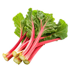 Bundle of fresh rhubarb stalks with vibrant red stems and large green leaves, isolated on transparent background for food or design projects.
