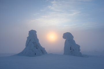 View of snow-laden trees stand like silent sentinels against a sun veiled in mist, casting a soft glow across the frozen landscape, BelÃ¡-Dulice, Å½ilina Region, Slovakia.