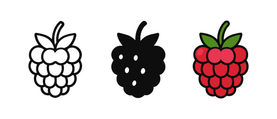 Artistic trio of raspberries: outline, silhouette, and colorful styles on white background