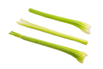 Fresh uncooked celery sticks isolated on white background, top view