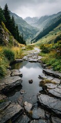 Mountain valley stream reflecting cloudy sky