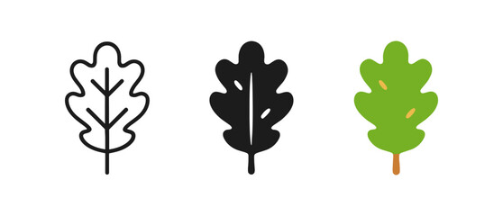 Three oak leaf designs: outline, silhouette, and colorful flat style
