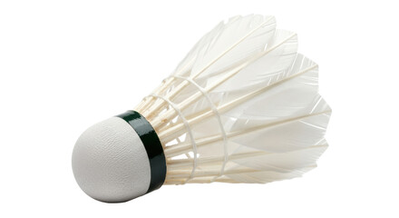 Isolated Shuttlecock