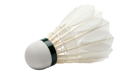 Isolated Shuttlecock