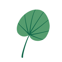 Round lotus leaf vector illustration 
