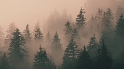 Abstract foggy forest scene with muted tones and space for overlay message