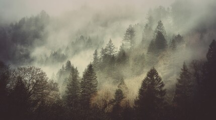 Abstract foggy forest scene with muted tones and space for overlay message