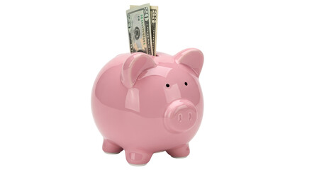 Isolated Piggy Bank with Money