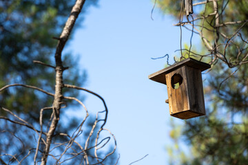 Wooden birdhouse on tree branch.