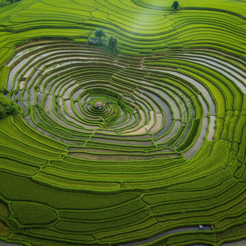 Paysage spectaculaire de rizi&egrave;res en terrasses verdoyantes formant des cercles harmonieux dans la montagne