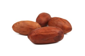 Obraz premium Four brown cacao beans on white background isolated on a transparent background cocoa beans