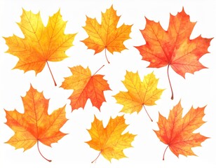 Obraz premium Vibrant collection of autumn leaves in shades of orange and yellow, showcasing intricate textures and natural beauty, perfect for seasonal themes and design projects