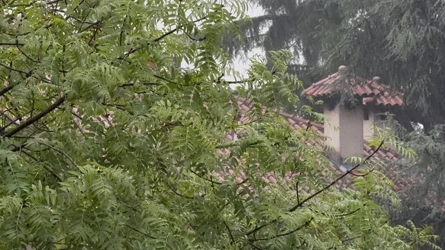 Pioggia torrenziale. Uragano Erin