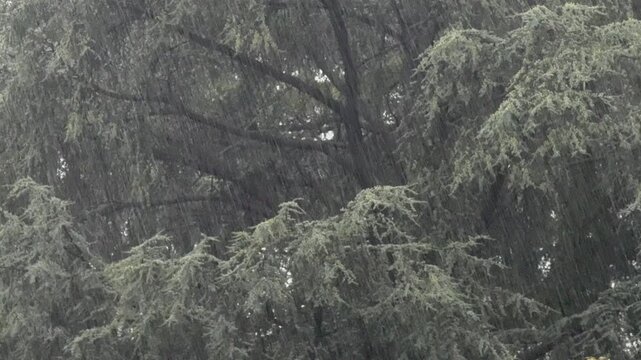 Pioggia torrenziale. Uragano Erin