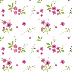 Vector  Illustration Pink Flowers Seamless Pattern
