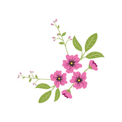 Vector  Illustration Pink Flowers