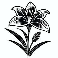 Elegant black and white illustration of a lily flower with a bud and leaves