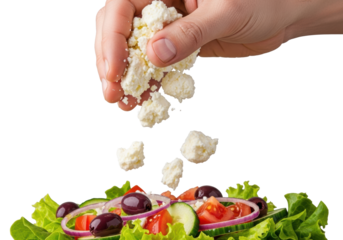 Clean adult hand crumbles fresh feta over vibrant Greek salad with lettuce, tomatoes, olives, and cucumbers, captured mid-air on transparent, sharp studio macro shot. Concept of culinary preparation