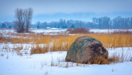 Snowy field with a large boulder, dry grass, and misty mountains in the distance