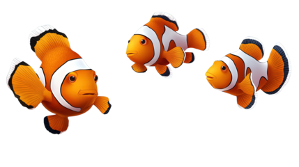 Set of clown fish isolated on transparent background