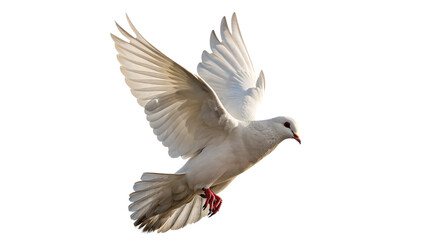 White dove flying gracefully against a clear sky with wings spread wide, symbolizing peace and freedom on a transparent background