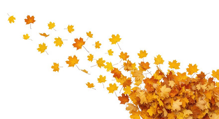 Isolated Falling Autumn Leaves