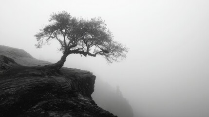 Solitary tree on rocky cliff shrouded in misty fog black and white atmospheric landscape
