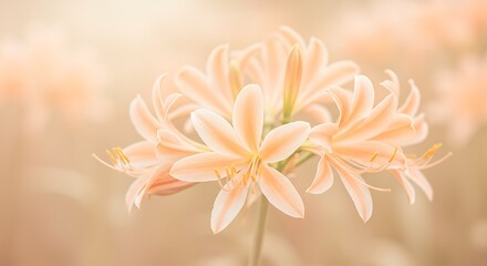 Vibrant Orange Flowers in Bloom
