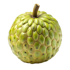 Obraz premium A single, ripe custard apple, also known as sugar apple or sweetsop, with its distinctive bumpy green skin and a small stem, isolated on a transparent background
