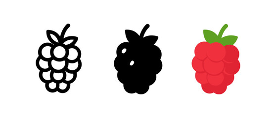Minimalist fruit icons: black and white berry silhouettes with colorful raspberry
