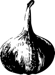 Vintage Food & Drinks Illustration