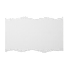 Obraz premium Torn white paper strip, blank, ripped edges