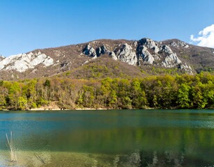 Tranquil lake nestled amidst a landscape of mountains and vibrant spring foliage. A serene scene of a clear body of water reflecting the surrounding trees and hills.