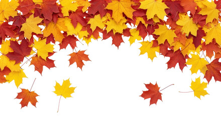 Isolated Falling Autumn Leaves