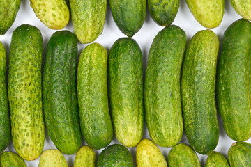 An overhead view shows neatly arranged rows of fresh pickling cucumbers, ready for preservation