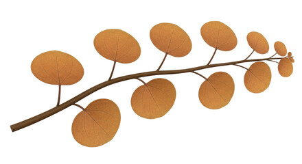 Isolated Autumn Branch