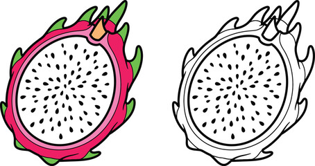 Vibrant Dragon Fruit Slice - Exotic Pitaya Half with Seeds - Color and Outline