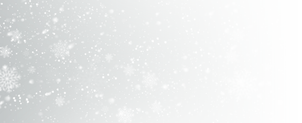 Falling snow snowfall snowflake snowflakes snow overlay action. PNG winter snow effect, PNG photo editing with transparent background adds festive shine. Overlay perfect for seasonal design.