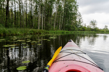 Fototapeta premium Kayak View with Lily Pads