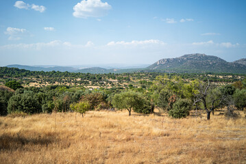 Panoramic View of Don Quixote&rsquo;s Windmills and La Mancha Countryside