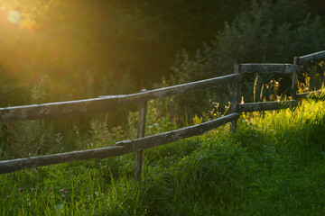 Old wooden fence in green grass meadow illuminated by warm sunlight with countryside nature...