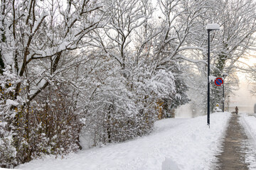 Peaceful winter walk on a snowy trail
