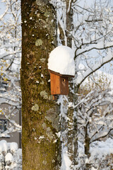 Cozy birdhouse on a snow-covered tree