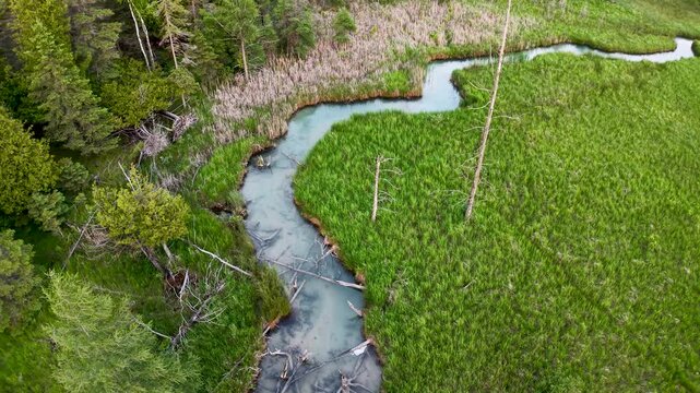 Aerial drone shot of a winding stream cutting through lush green meadow bordered by forest.