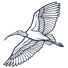 Vector art of elegant ibis in flight, soaring through the sky with grace, a symbol of freedom and beauty in nature